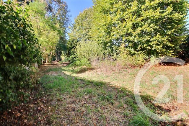 Maison &agrave; vendre - 7 pi&egrave;ces - 279,21 m2 - Cour Sur Loire - 41 - CENTRE