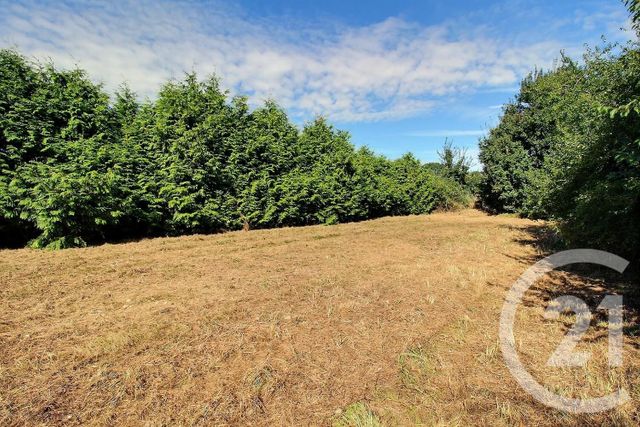 Terrain à vendre - 1665 m2 - Autainville - 41 - CENTRE
