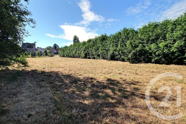 Terrain à vendre - 1665 m2 - Autainville - 41 - CENTRE