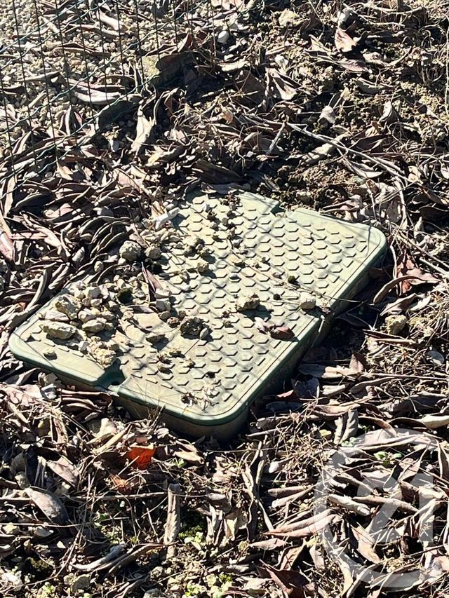 Terrain à vendre - 645 m2 - Epieds En Beauce - 45 - CENTRE