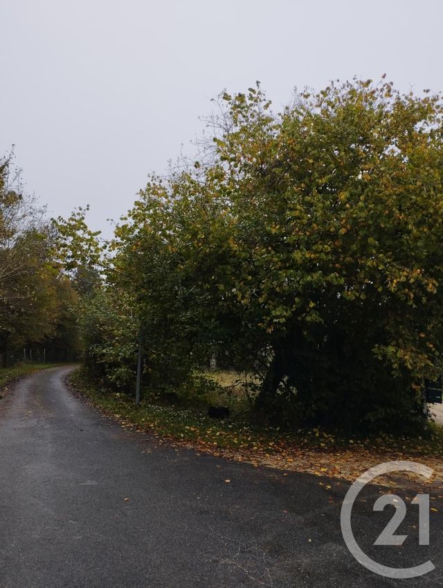 Terrain à vendre - 1178 m2 - Cellettes - 41 - CENTRE