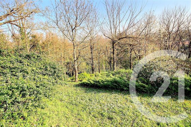 Maison à vendre - 9 pièces - 241 m2 - Veuzain Sur Loire - 41 - CENTRE