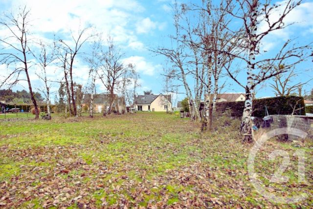 Maison &agrave; vendre - 6 pi&egrave;ces - 162 m2 - St Dye Sur Loire - 41 - CENTRE