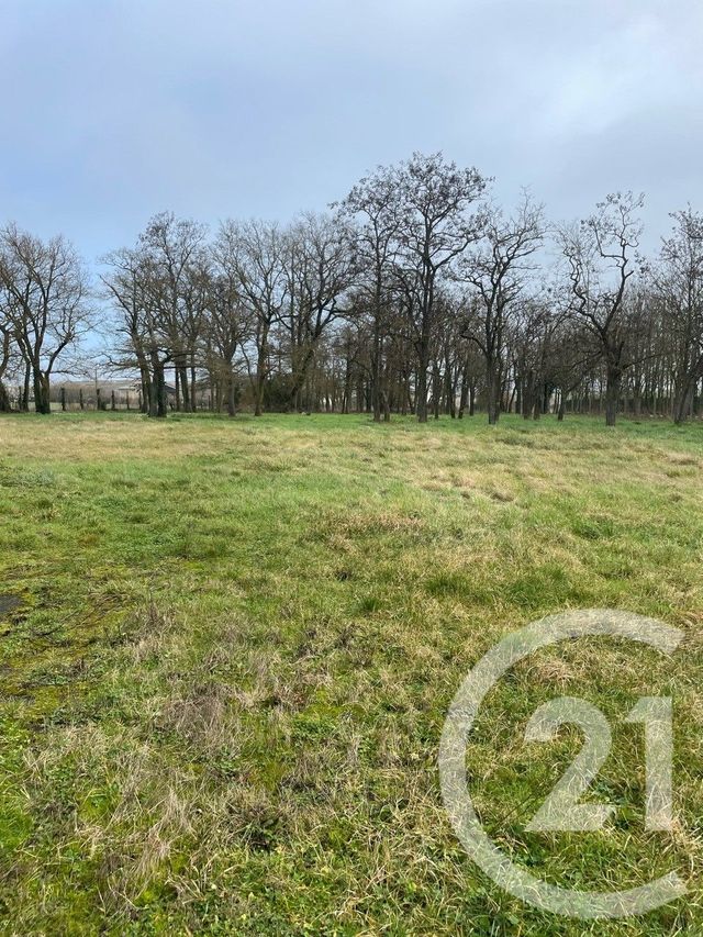 Maison &agrave; vendre - 10 pi&egrave;ces - 230 m2 - Averdon - 41 - CENTRE