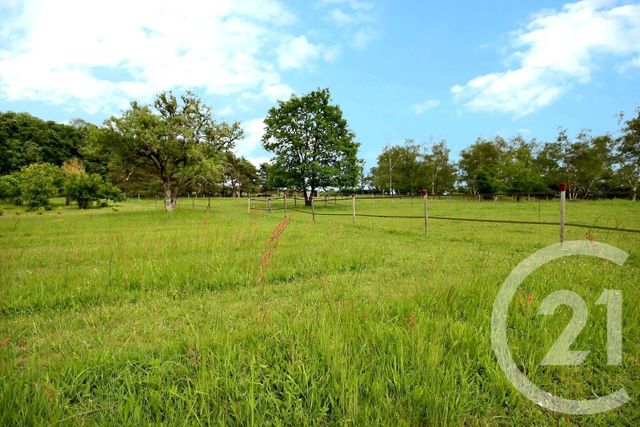Maison &agrave; vendre - 6 pi&egrave;ces - 180 m2 - Ouchamps - 41 - CENTRE
