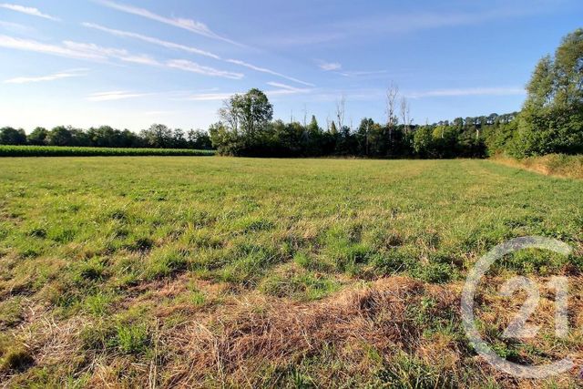 Terrain à vendre - 4670 m2 - Moree - 41 - CENTRE