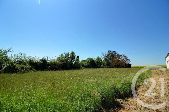 Terrain à vendre - 1350 m2 - Danze - 41 - CENTRE