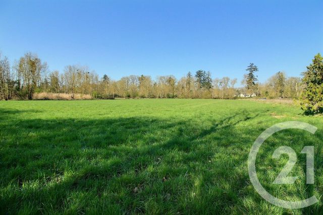Terrain &agrave; vendre - 6482 m2 - St Ouen - 41 - CENTRE