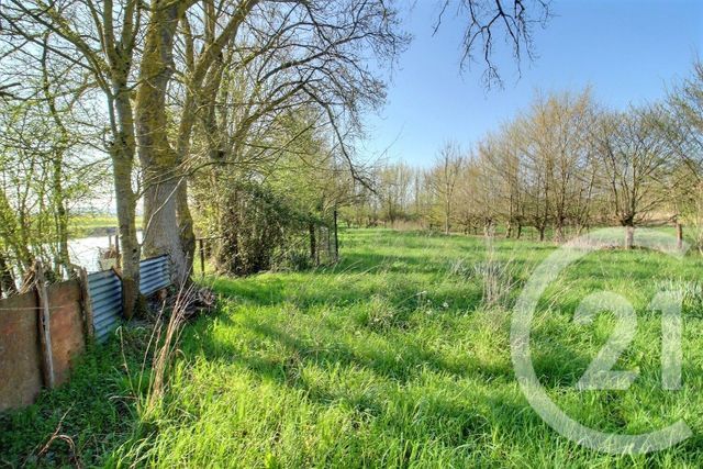 Terrain &agrave; vendre - 6482 m2 - St Ouen - 41 - CENTRE