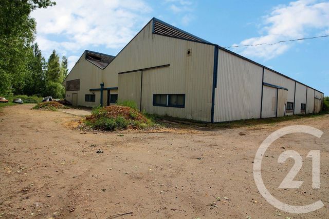  à vendre SAVIGNY SUR BRAYE