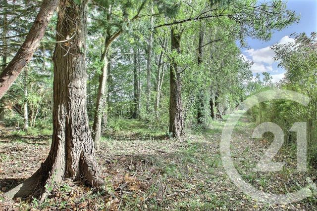 Terrain &agrave; vendre - 2430 m2 - Pezou - 41 - CENTRE