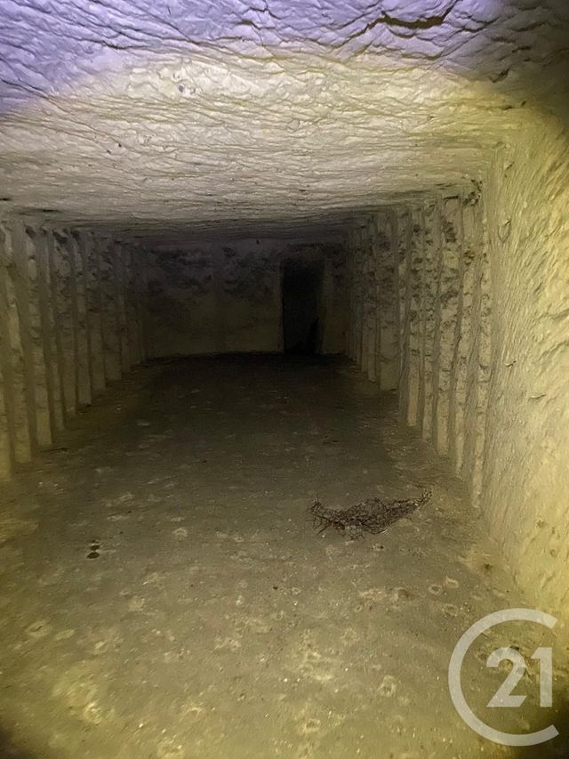 Maison à vendre - 1 pièce - 595 m2 - Vendome - 41 - CENTRE